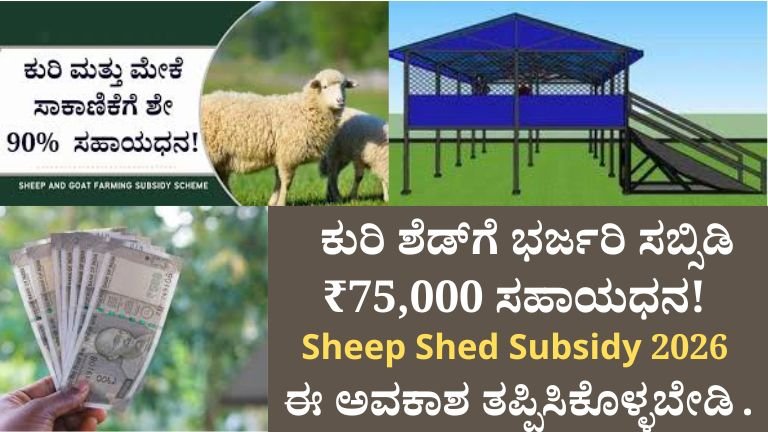 Sheep Shed Subsidy 2026: ಕುರಿ ಶೆಡ್ ಕಟ್ಟಲು ₹75,000 ವರೆಗೆ ಸರ್ಕಾರಿ ಸಹಾಯಧನ!