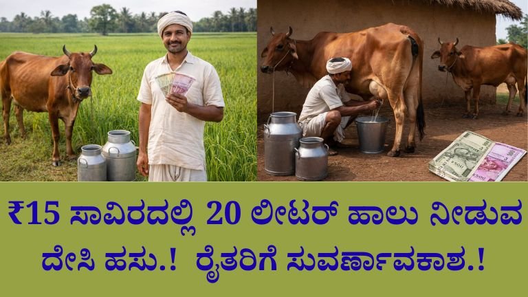 ₹15 ಸಾವಿರದಲ್ಲಿ 20 ಲೀಟರ್ ಹಾಲು ನೀಡುವ ದೇಸಿ ಹಸು